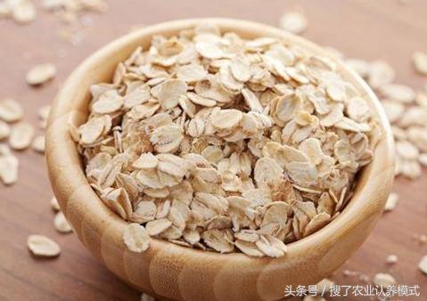 燕麥種子發(fā)芽率低怎么辦？怎么樣才能提高燕麥種子的發(fā)芽率？