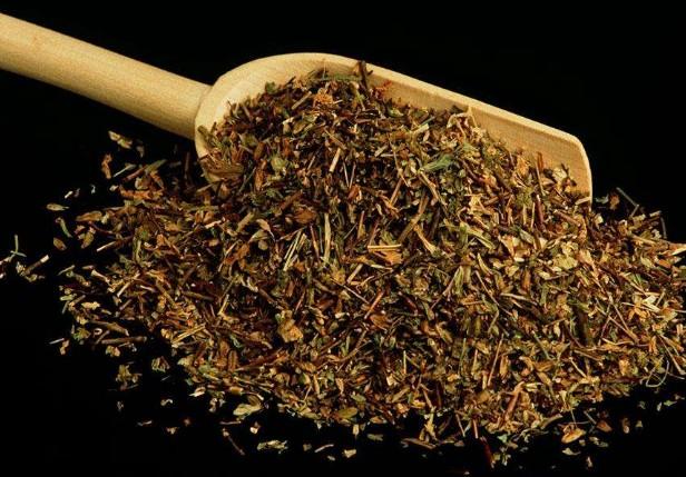 要想小米草種的好，要學(xué)會種植的技巧與方法