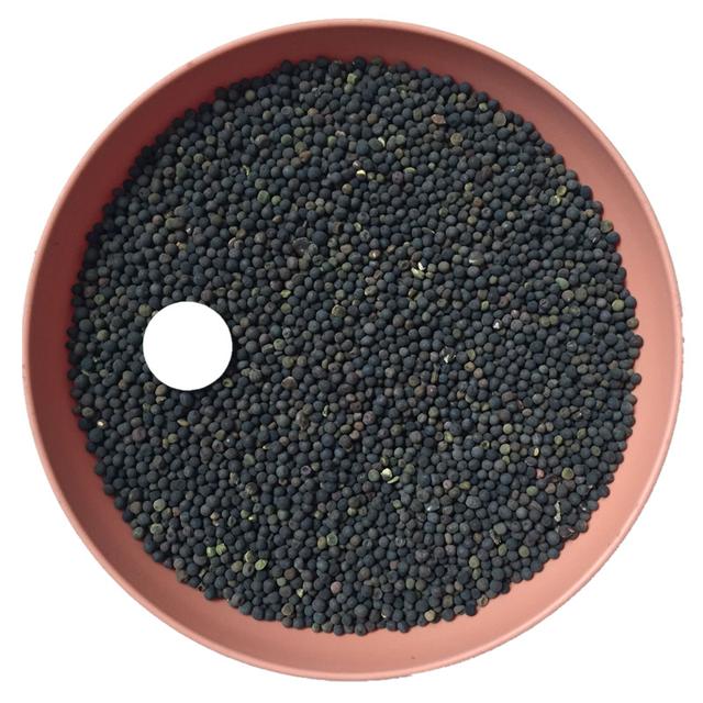 優(yōu)質(zhì)養(yǎng)蜂蜜源植物、牧草光葉紫花苕的種植技術(shù)