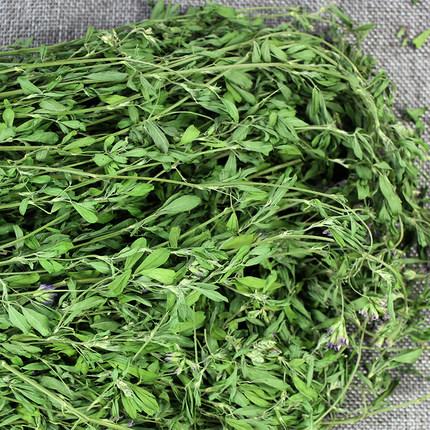 苜蓿畝產(chǎn)干草多少噸