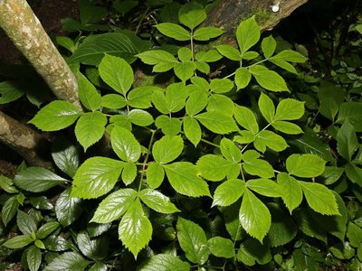 1629456769897094.jpg 1629456769897094.jpg