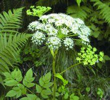 1629456788628553.jpg 1629456788628553.jpg