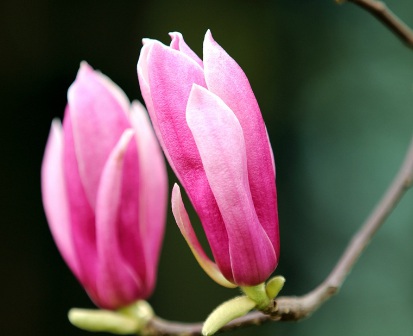 1629551169285799.jpg image.jpg