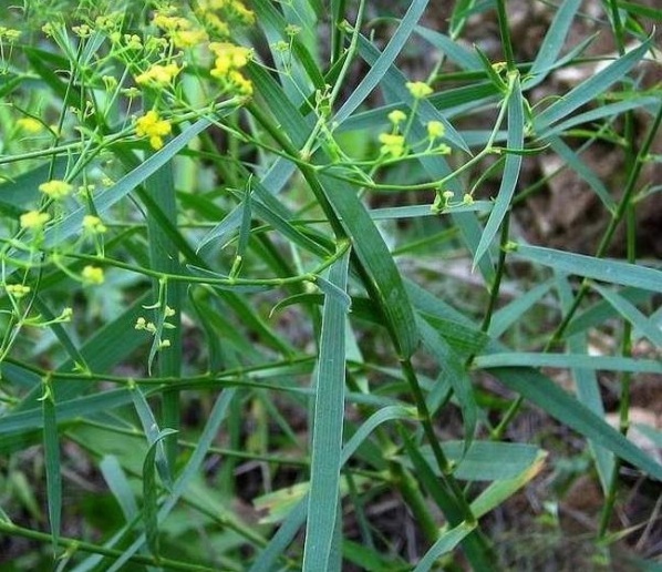 1629599806818031.jpg 4.jpg