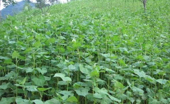 1629873166411823.jpg O~SAV8N`(K{HCQJJO5Y9S9W.jpg