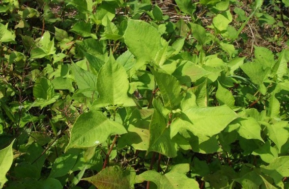 1629873205378094.jpg }PRRO6A[}Q1KQWWM8ZAGG4B.jpg