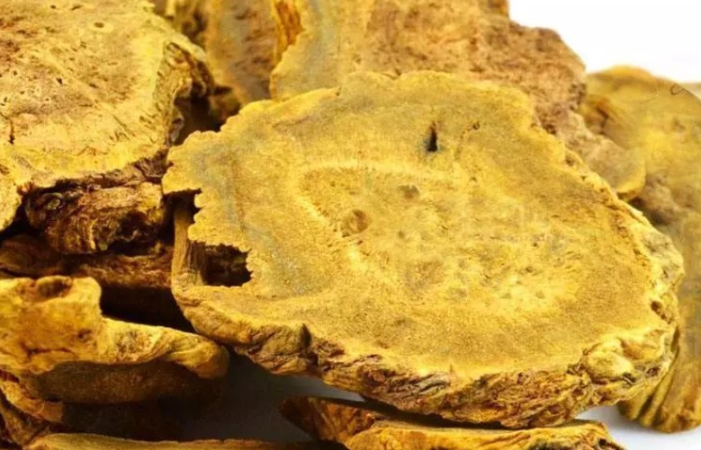 1630051233583076.jpg 大黃3.jpg