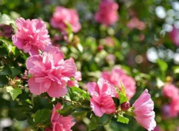 1630399045664663.jpg 目鏡書3.jpg