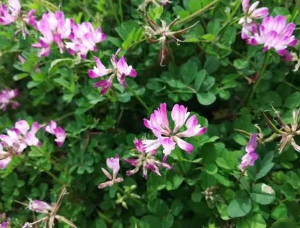 1632836082176707.jpg image.jpg