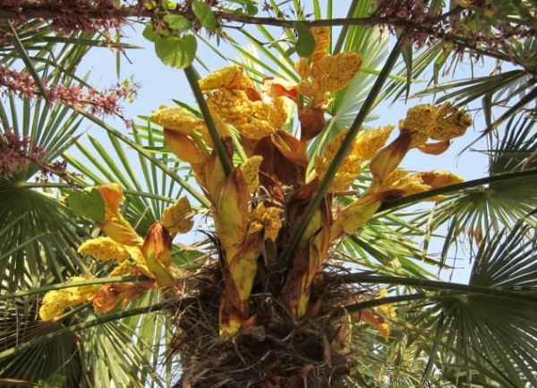 1634356473399080.jpg image.jpg