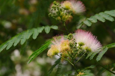 1634638682138760.jpg 1634638682138760.jpg