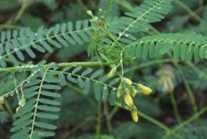 1634640045239064.jpg 1634640045239064.jpg