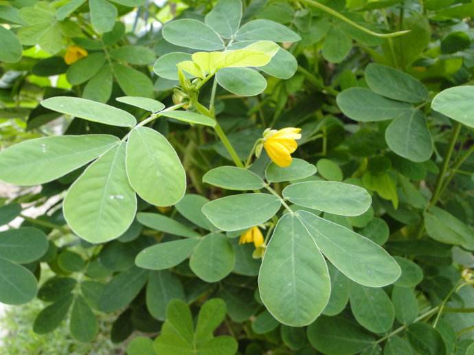 1634640092316213.jpg 1634640092316213.jpg