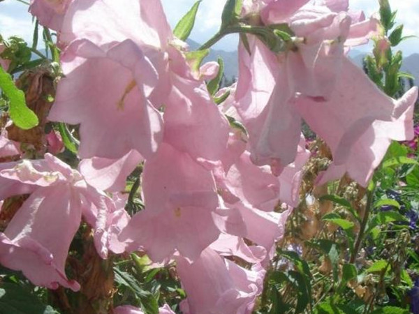 1634745464234720.jpg 003_副本.jpg