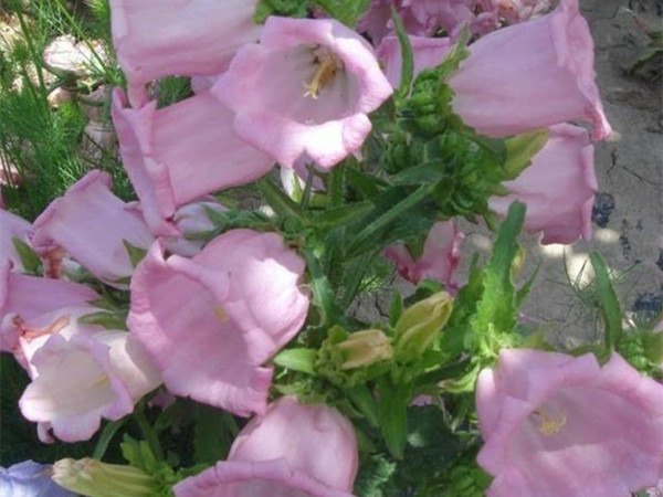 1634745475152856.jpg 002_副本.jpg