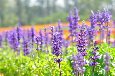 1634986694578304.jpg 1634986694578304.jpg