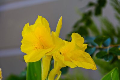 1636707892553341.jpg 1636707892553341.jpg