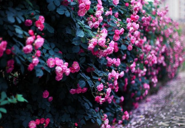 1637024478622411.jpg image.jpg