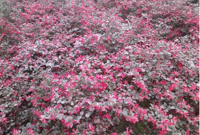 1639553092555967.jpg 1639553092555967.jpg