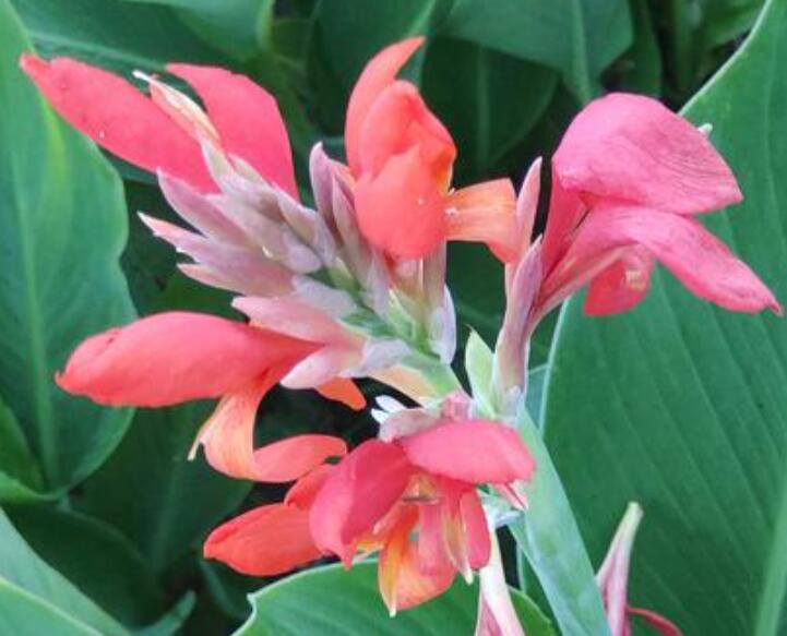 1640009440164987.jpg 1640009440164987.jpg