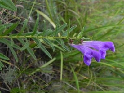 1641725907503860.jpg 1641725907503860.jpg