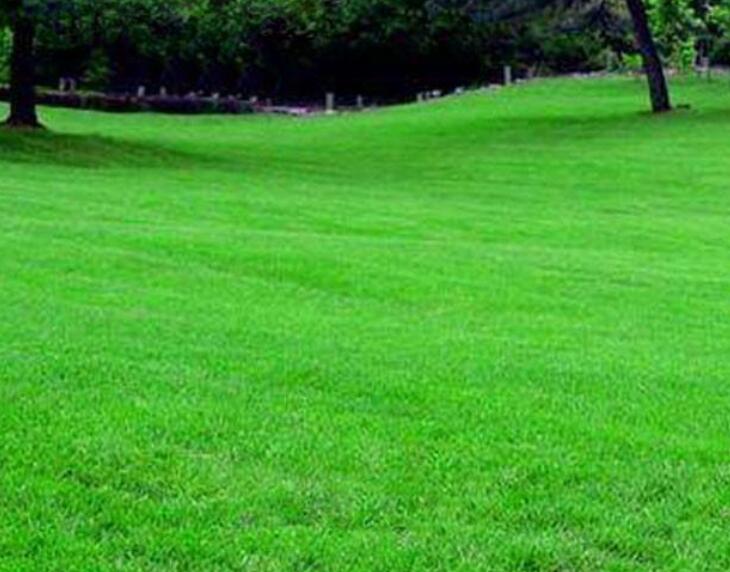 1641876592162477.jpg 1641876592162477.jpg