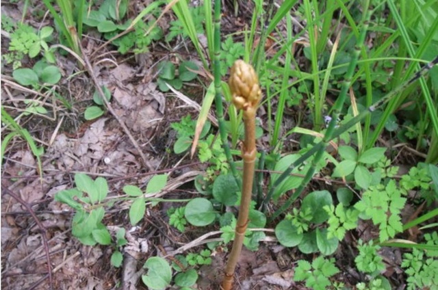 1641983726507137.jpeg 1641983726507137.jpeg