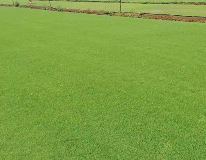 1642057443934326.jpg 1642057443934326.jpg