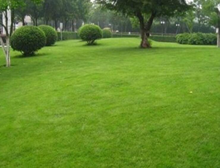 1642057454223242.jpg 1642057454223242.jpg