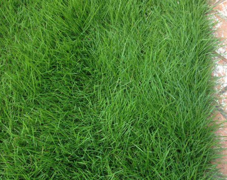 1642416393415291.jpg 1642416393415291.jpg