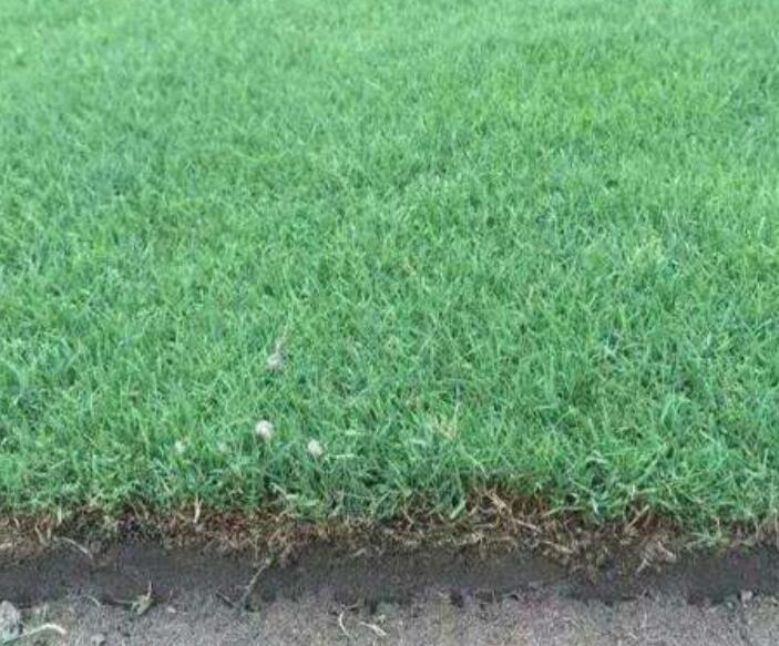 1642492605517481.jpg 1642492605517481.jpg