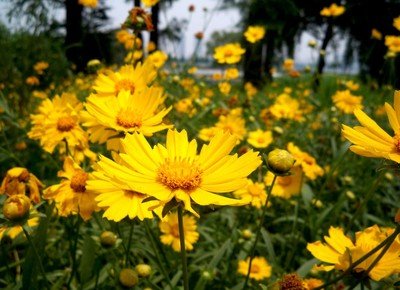 1642846891349080.jpg 1642846891349080.jpg