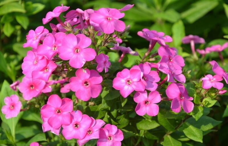 1644240361666336.jpg 1644240361666336.jpg