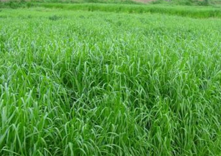 1645785760199849.jpg 1.jpg