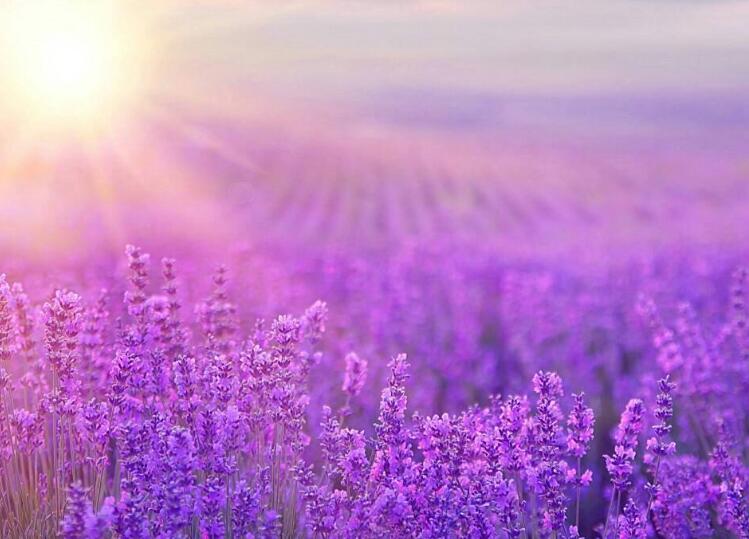 1645788767831190.jpg 2.jpg