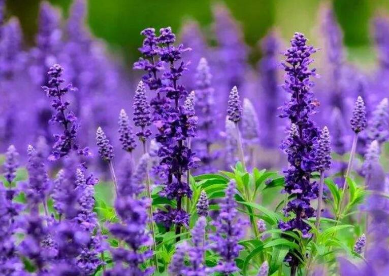 1645788776769294.jpg 3.jpg