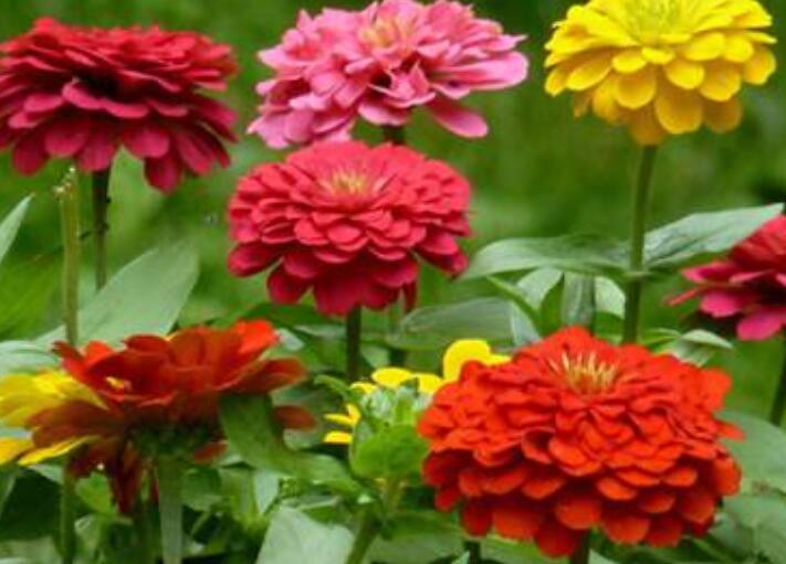 1645793362353917.jpg 1.jpg