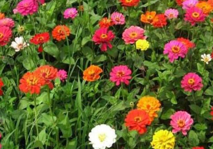 1645793372900557.jpg 2.jpg