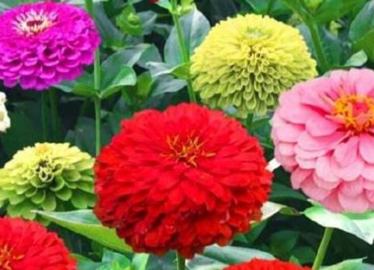 1645793381919091.jpg 3.jpg