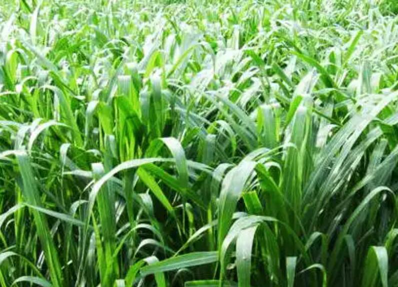 1647776494792956.jpg 3.jpg