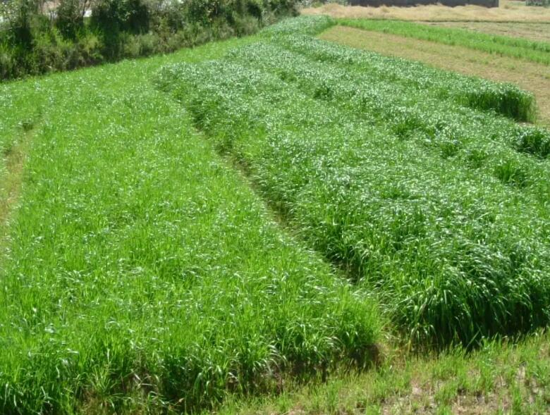 1647776903848207.jpg 2.jpg