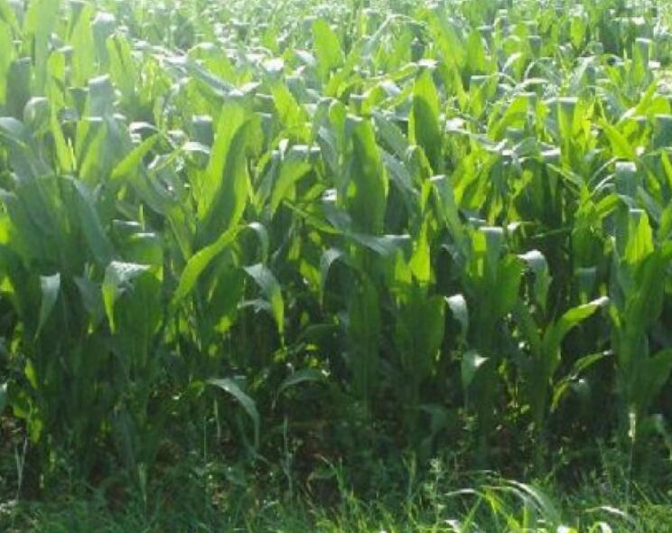 1647776912494008.jpg 3.jpg