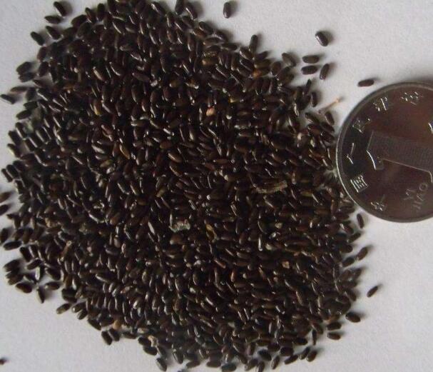 1648113645834392.jpg 1648113645834392.jpg