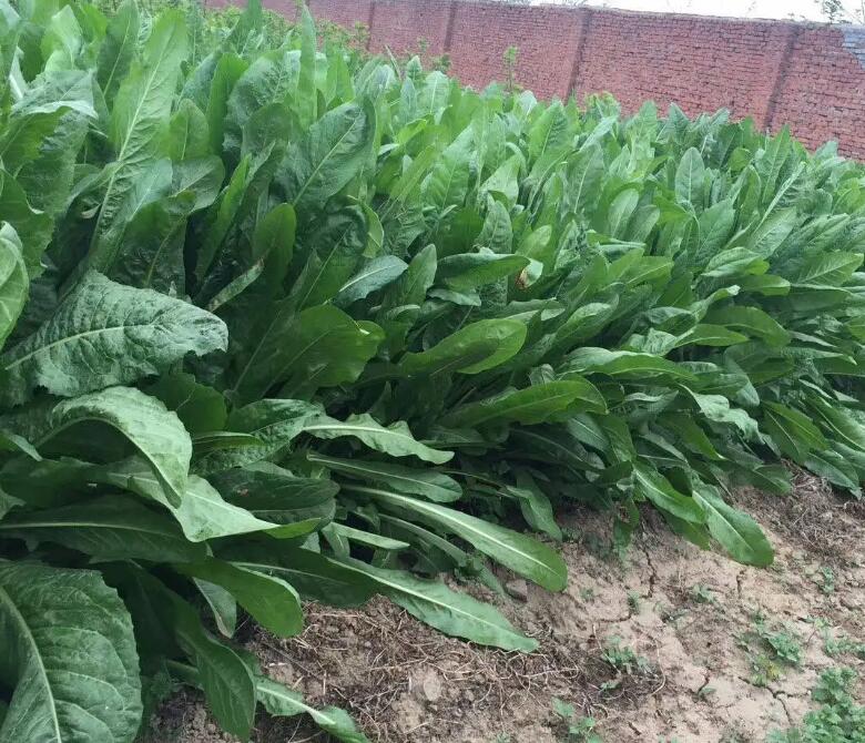 1649233918636257.jpg 1649233918636257.jpg