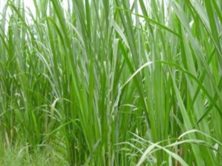 1649512344461346.jpg 2.jpg