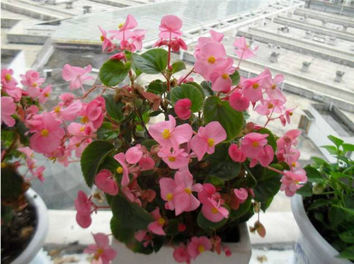 1649576845796811.jpg 1649576845796811.jpg