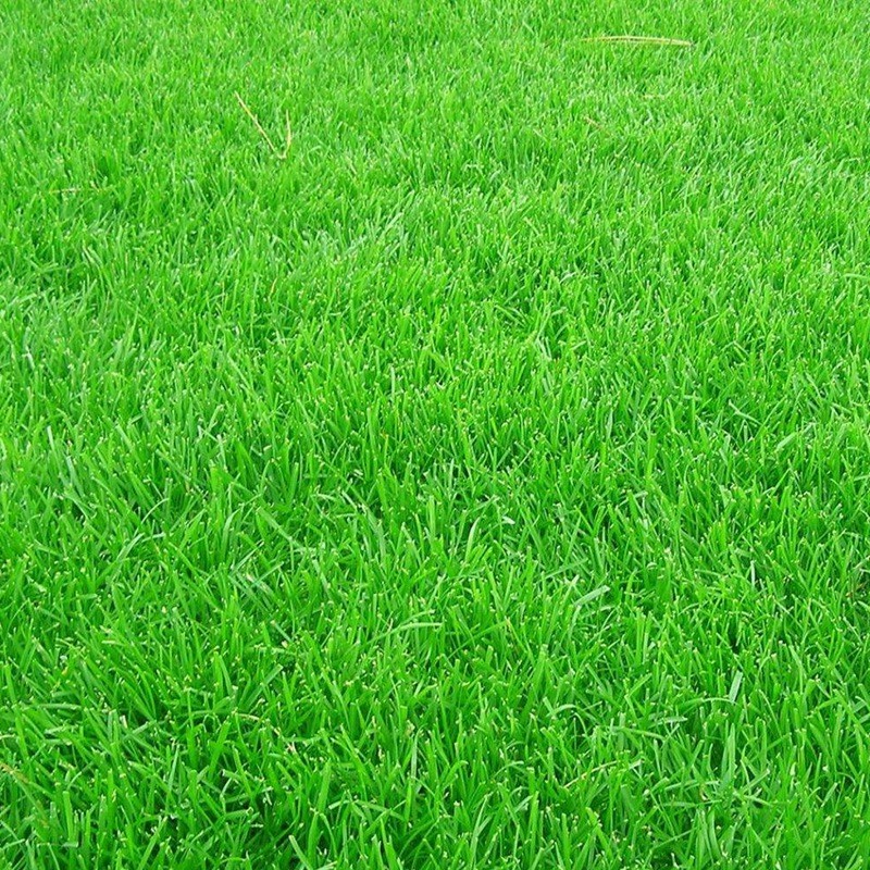 1650269897325888.jpg 1650269897325888.jpg