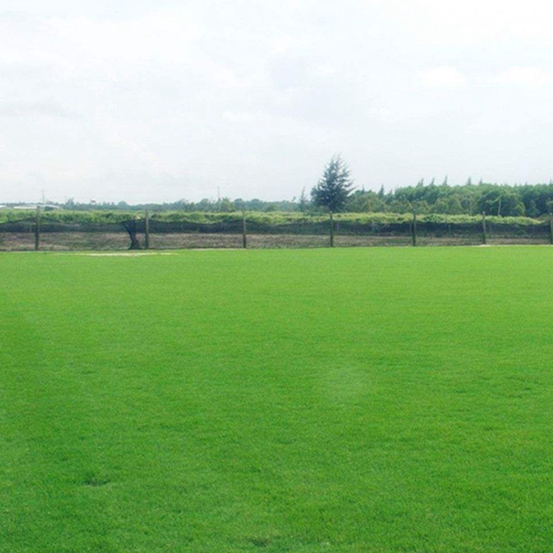 1650269897600031.jpg 1650269897600031.jpg