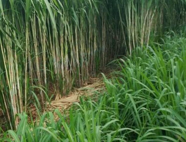 1650287214907967.jpg 3.jpg