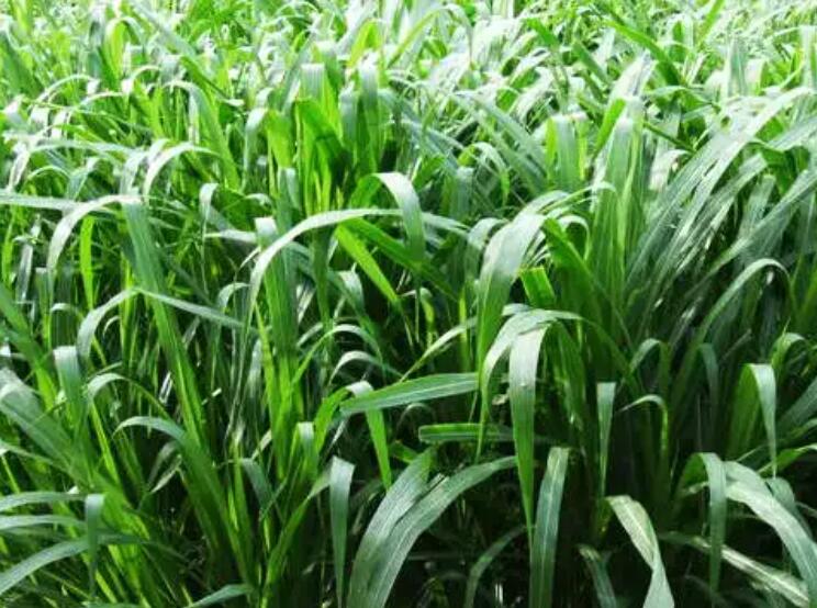 1650513998975057.jpg 2.jpg